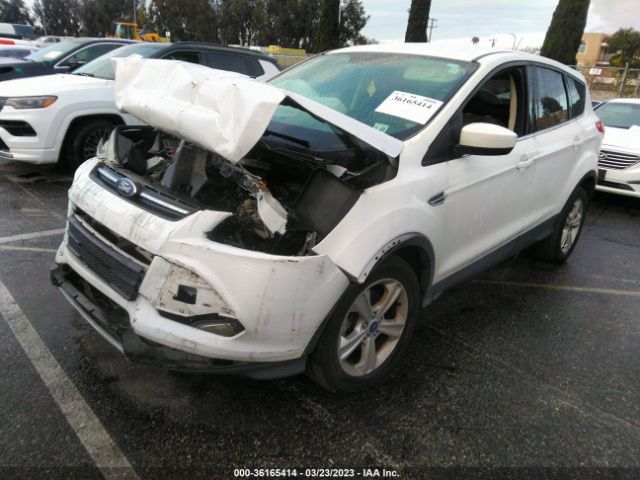 1FMCU0GX3GUC30246 Ford ESCAPE SE