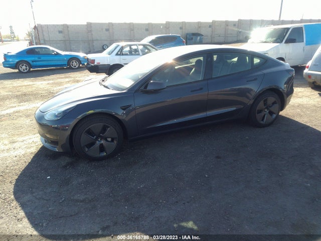 Tesla MODEL 3 2023 5YJ3E1EA2PF453604 Image 2