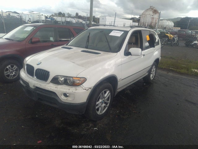 2005 BMW X5 3.0I VIN: 5UXFA13595LY19775