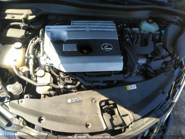 2019 Lexus UX, VIN: JTHU9JBHXK2009035