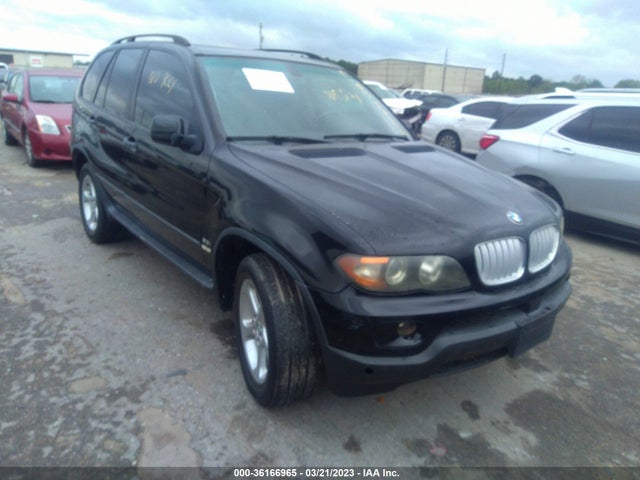 2006 BMW X5 3.0I VIN: 5UXFA13516LY32392