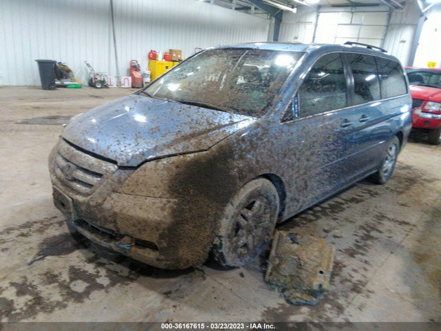 2005 HONDA ODYSSEY EX-L VIN: 5FNRL38715B097512
