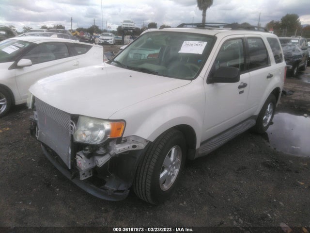 2011 FORD ESCAPE XLT VIN: 1FMCU0DGXBKB84293