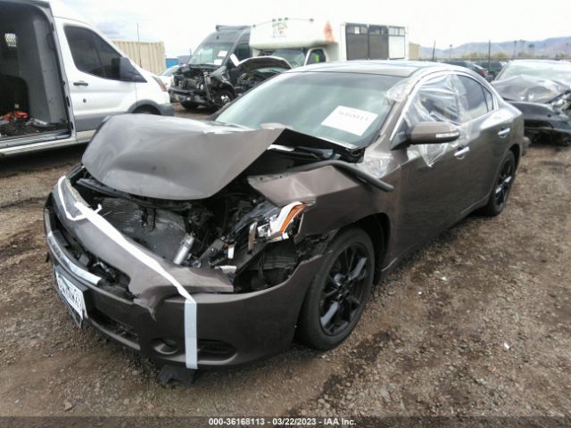 1N4AA5AP1EC449029 Nissan Maxima 3.5 Sv