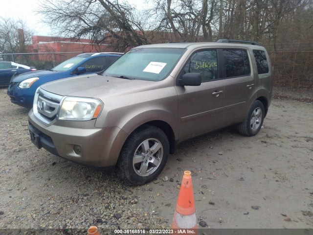 2010 HONDA PILOT EX-L VIN: 5FNYF3H50AB022313