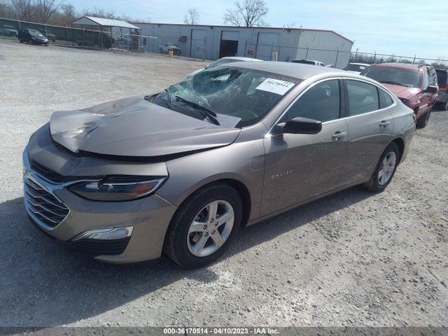 Chevrolet MALIBU LS 2023 1G1ZC5ST6PF124647 Image 2