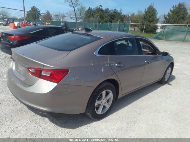Chevrolet MALIBU LS 2023 1G1ZC5ST6PF124647 Image 4