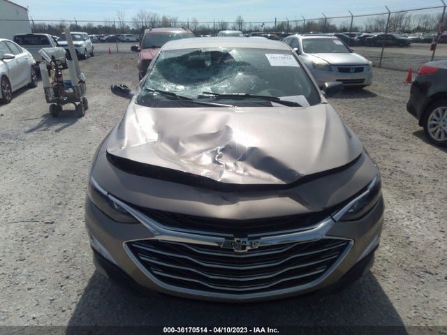 Chevrolet MALIBU LS 2023 1G1ZC5ST6PF124647 Image 6