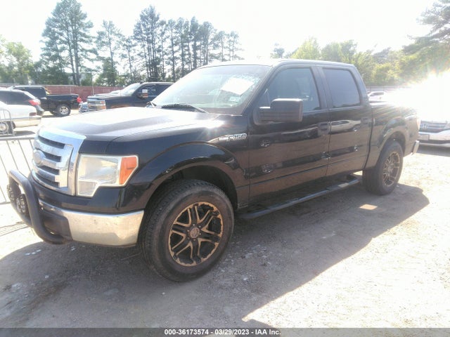 2009 FORD F-150 XL/XLT VIN: 1FTRW12819KB87796