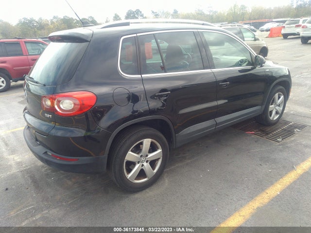 Volkswagen Tiguan Wolfsburg 2010 WVGAV7AX4AW001611 Image 5