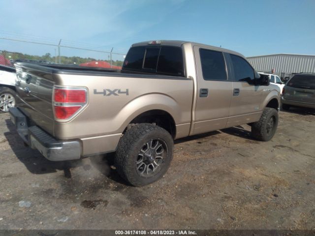 1FTFW1ET8EKF30651 Ford F-150 Xl/xlt/fx4/lariat