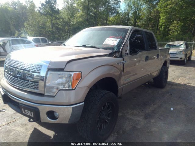 1FTFW1ET8EKF30651 Ford F-150 Xl/xlt/fx4/lariat