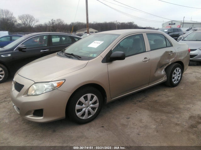 2010 TOYOTA COROLLA VIN: 2T1BU4EEXAC253729