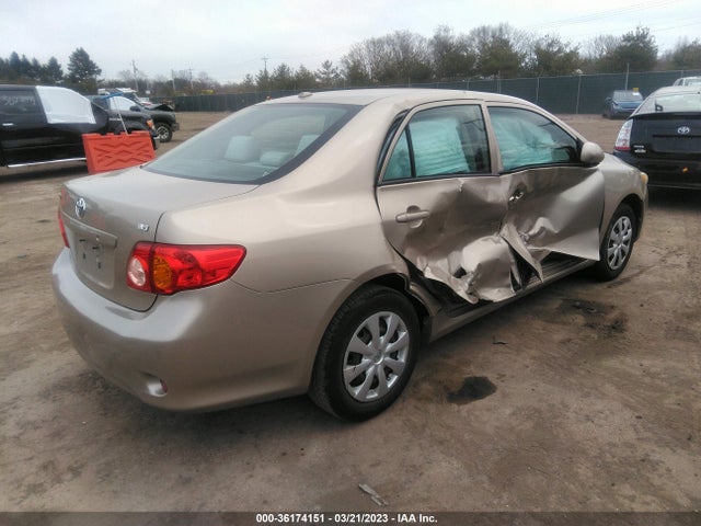2010 TOYOTA COROLLA VIN: 2T1BU4EEXAC253729
