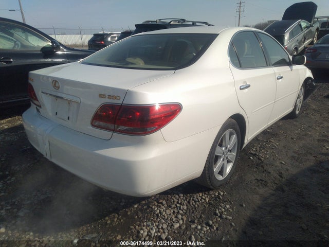 2005 LEXUS ES 330 VIN: JTHBA30GX55124287