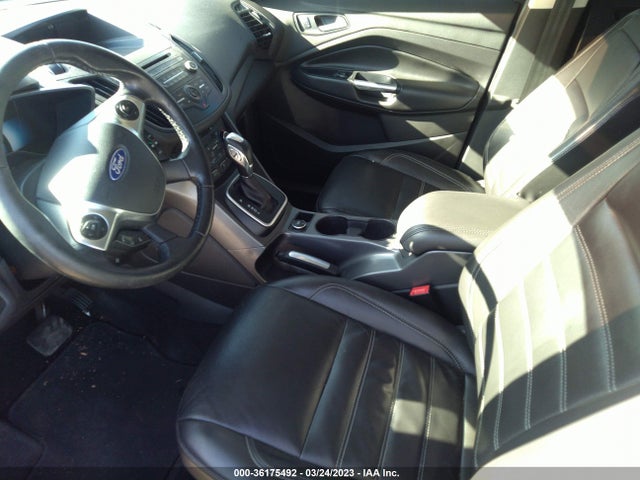 2017 Ford C-Max, VIN: 1FADP5EU4HL115934