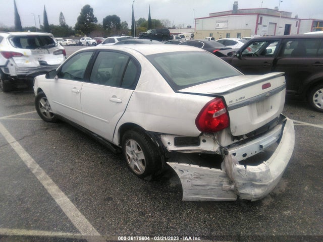 2005 CHEVROLET MALIBU LS VIN: 1G1ZT54865F222969