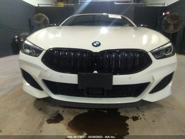 2019 BMW 8 Series, VIN: WBAFY4C56KBX29299