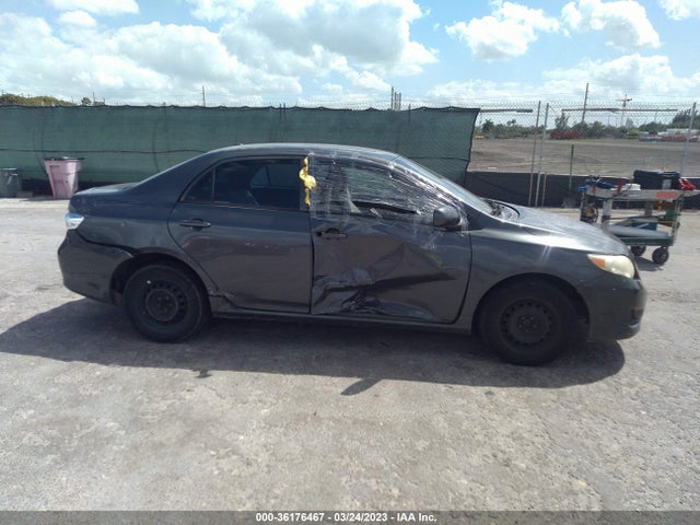 2010 TOYOTA COROLLA VIN: 2T1BU4EE9AC316237