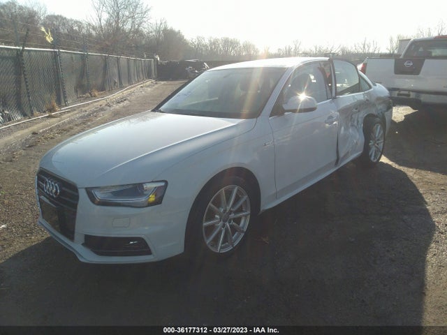 WAUFFAFL1FN036580 Audi A4 Premium Plus
