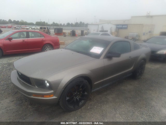 2005 FORD MUSTANG DELUXE/PREMIUM VIN: 1ZVFT80N855137884