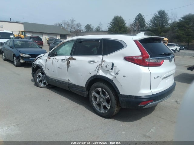 Honda CR-V EX 2019 2HKRW2H55KH658341 Image 3