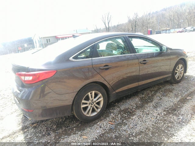 2015 HYUNDAI SONATA 2.4L SE VIN: 5NPE24AF6FH159353