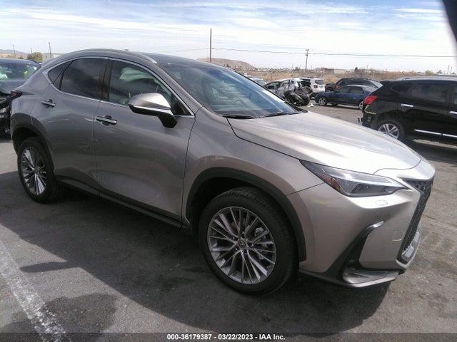 2023 Lexus NX, VIN: 2T2HKCEZ3PC011169