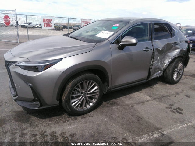 2023 Lexus NX, VIN: 2T2HKCEZ3PC011169