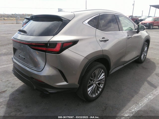 2023 Lexus NX, VIN: 2T2HKCEZ3PC011169