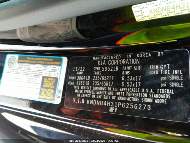 KNDNB4H31P6256273 KIA Carnival Lx