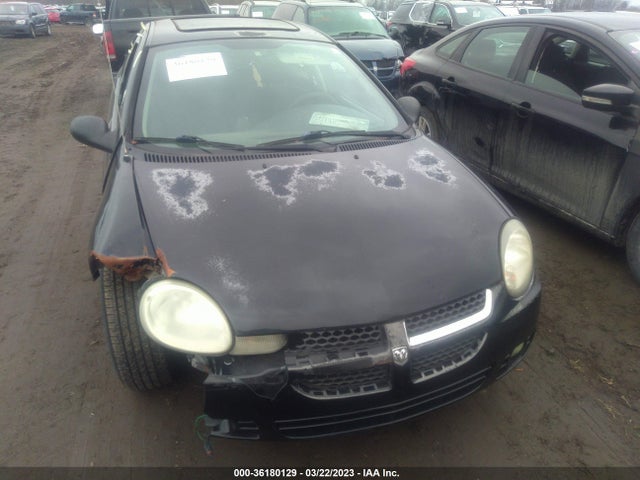 2003 DODGE NEON SXT VIN: 1B3AS56C93D234410