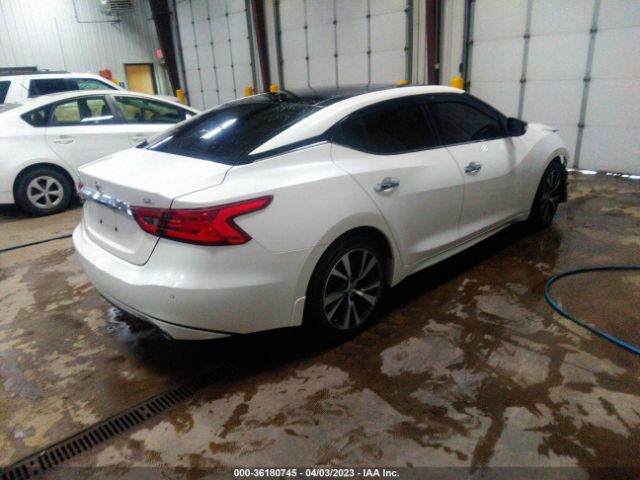 1N4AA6AP8HC456523 Nissan MAXIMA SL