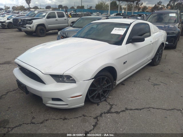 Ford Mustang V6 2014 1ZVBP8AM4E5254841 Image 2