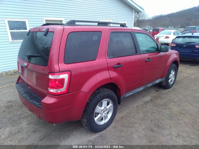 2011 FORD ESCAPE XLT VIN: 1FMCU0D70BKA13228