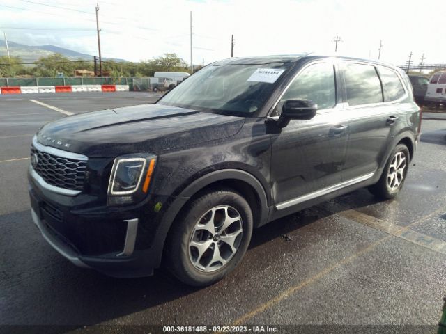 5XYP34HC0LG052688 KIA Telluride Ex