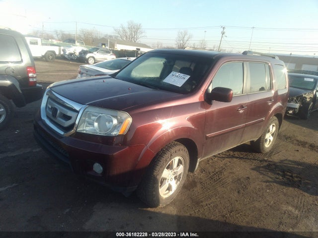 2009 HONDA PILOT EX-L VIN: 5FNYF48529B050003