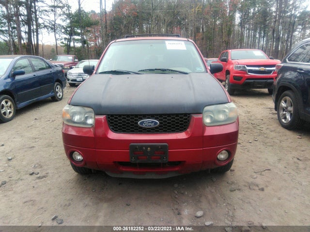 2007 FORD ESCAPE XLT VIN: 1FMCU03197KA51884