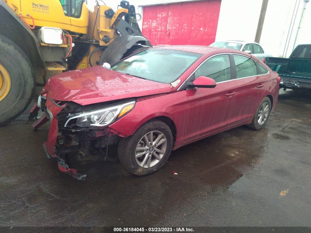 Hyundai Sonata 2.4l Se 2015 5NPE24AF8FH166837 Image 2