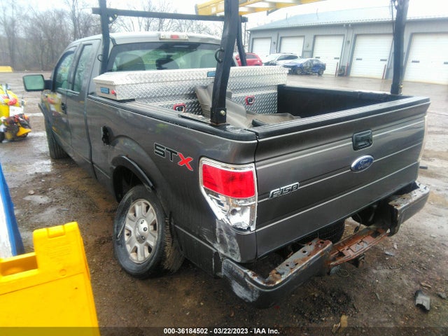 2010 FORD F-150 XL/STX VIN: 1FTEX1CW7AFA51517