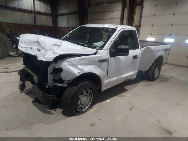 2019 FORD F-150 XL/XLT VIN: 1FTMF1EB3KKD31534
