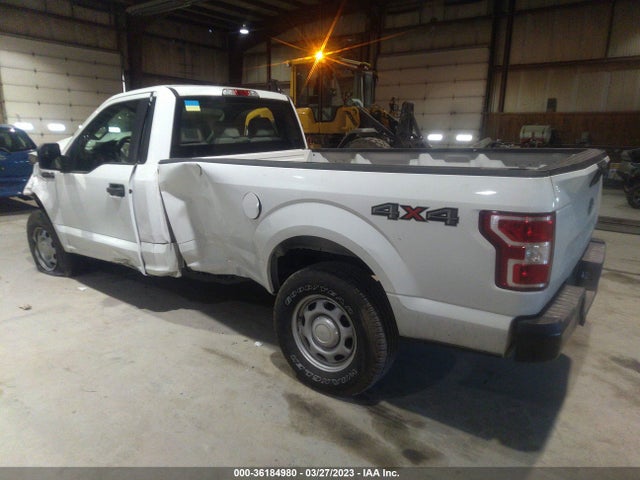 2019 FORD F-150 XL/XLT VIN: 1FTMF1EB3KKD31534
