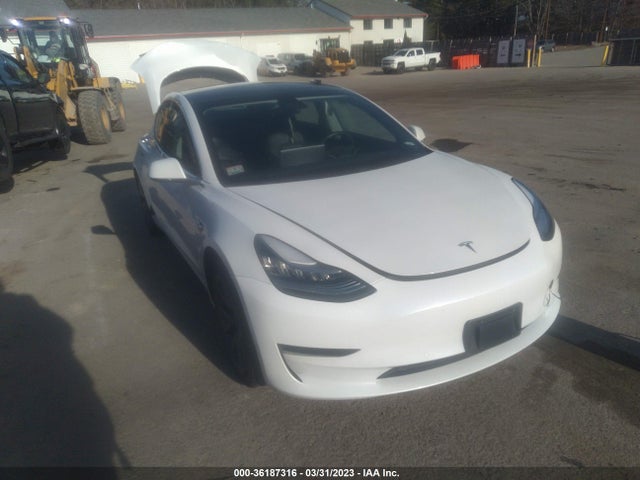 2020 5YJ3E1EA1LF742984 main image