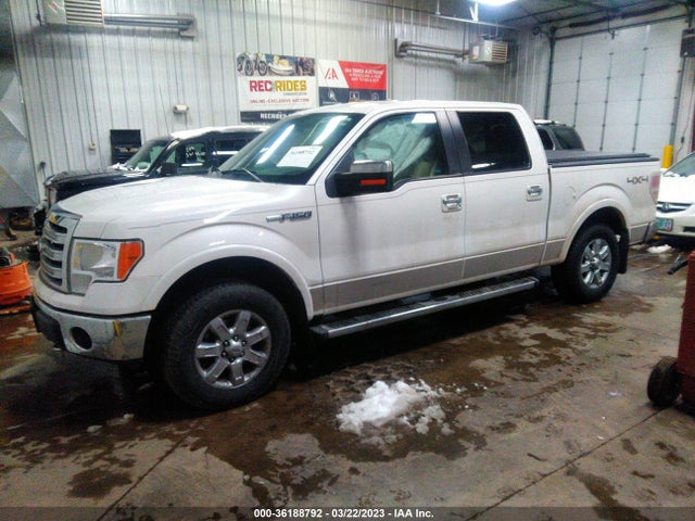 2013 FORD F-150 XL/XLT/FX4/LARIAT VIN: 1FTFW1EF3DKF32364