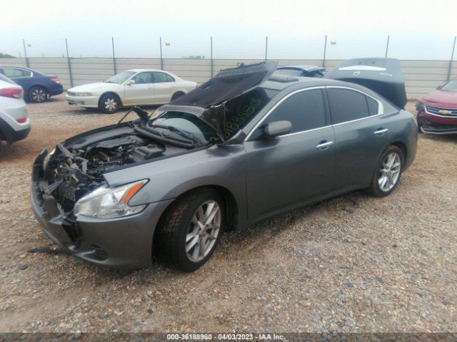 1N4AA5AP1EC469698 Nissan MAXIMA 3.5
