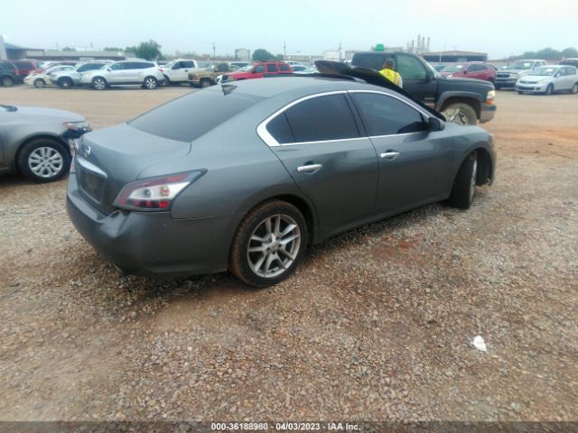 1N4AA5AP1EC469698 Nissan MAXIMA 3.5