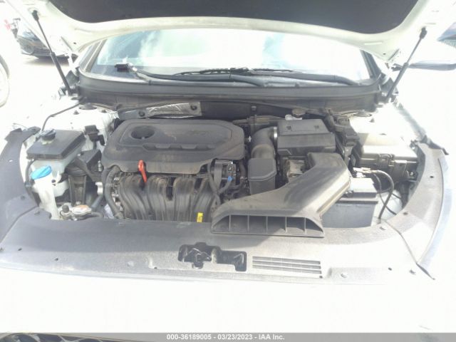 5NPE34AF8JH699616 Hyundai Sonata Sport+