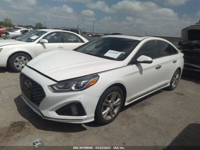 5NPE34AF8JH699616 Hyundai Sonata Sport+