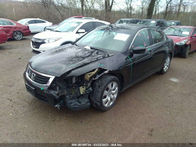 2010 HONDA ACCORD SDN EX VIN: 1HGCP2F76AA139975