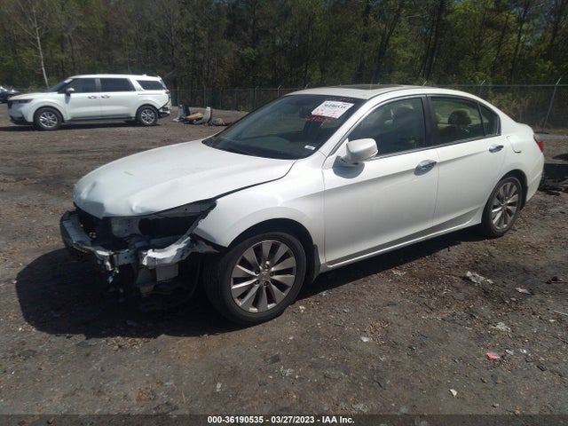 Honda Accord Sedan Ex-l 2014 1HGCR2F85EA195429 Image 2